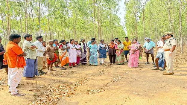 అగ్ని ప్రమాదాలతో అడవులు, ప్లాంటేషన్‌లకు నష్టం 
