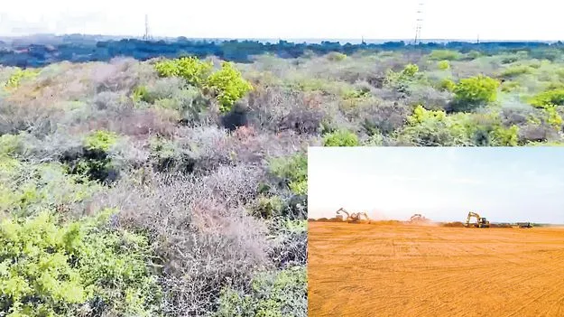 నిన్నటి చిట్టడవి... నేడు మహా మైదానం