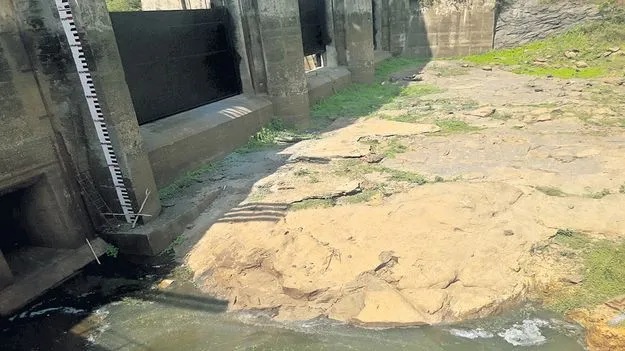 అడుగంటిన కోనాం