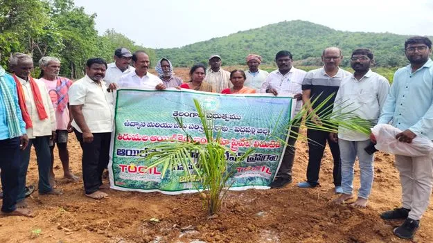 ఆయిల్‌పామ్‌ సాగుకు రైతులు ముందుకు రావాలి