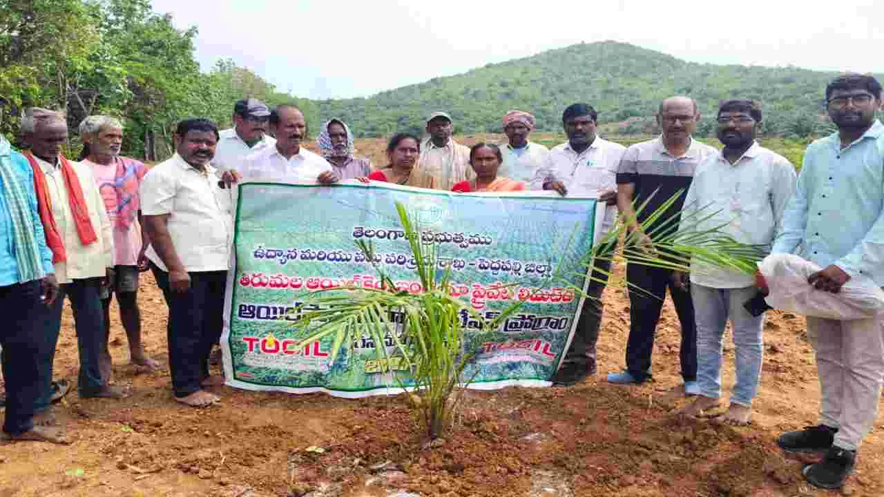 ఆయిల్‌పామ్‌ సాగుకు రైతులు ముందుకు రావాలి