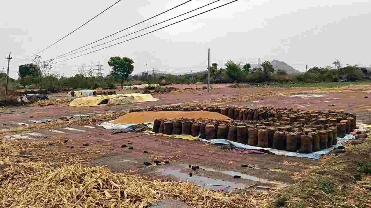 అకాల వర్షం... తడిసిన ధాన్యం