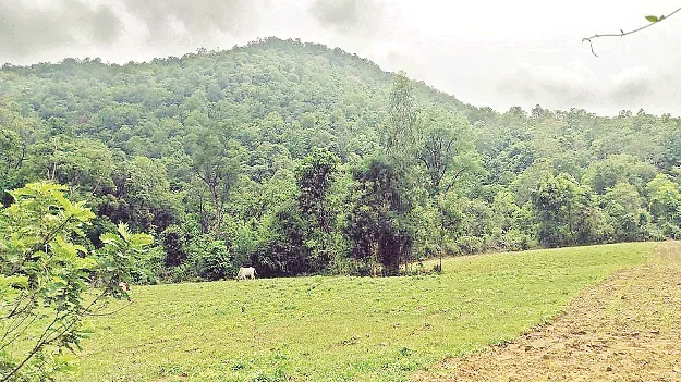  ఇనుప ఖనిజం తవ్వకాలు 