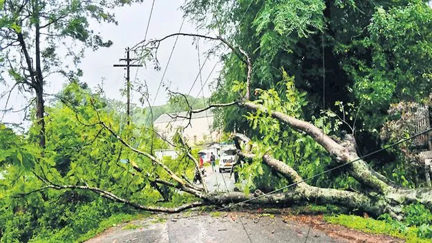 మన్యంలో ముసురు