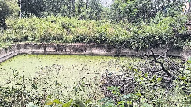 మత్స్య శాఖకు మంచి రోజులు