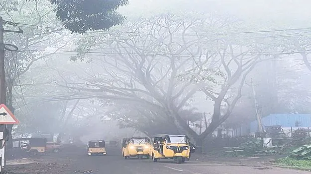 కొనసాగుతున్న పొగమంచు