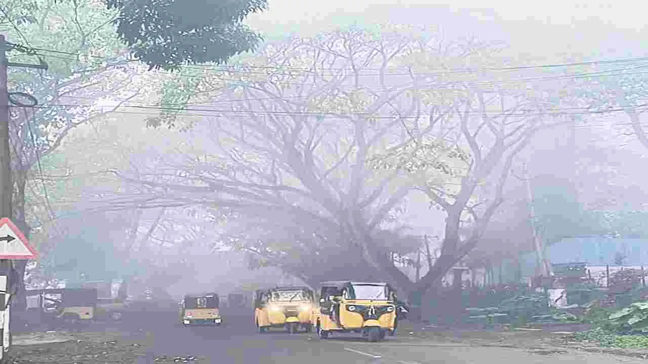 కొనసాగుతున్న పొగమంచు