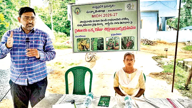 పంటల మార్పిడిపై దృష్టిసారించాలి