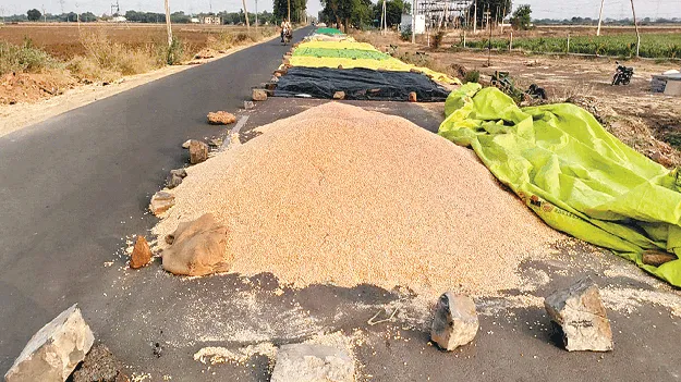 రహదారిపైనే ఆరబోత