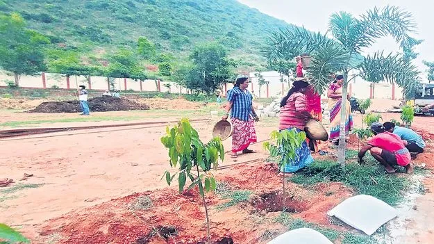 పాఠశాలల్లో పచ్చదనం