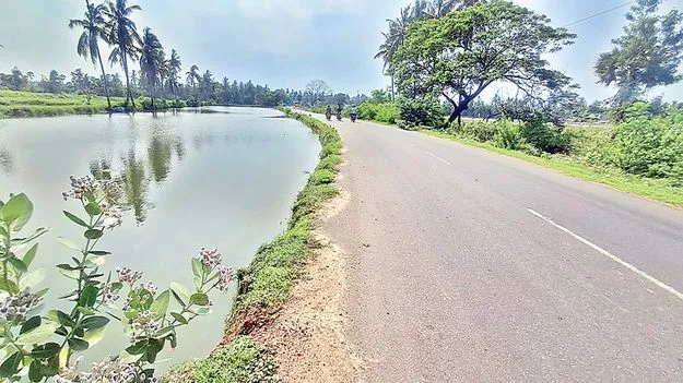  హైవేను కబళిస్తున్న చెరువు