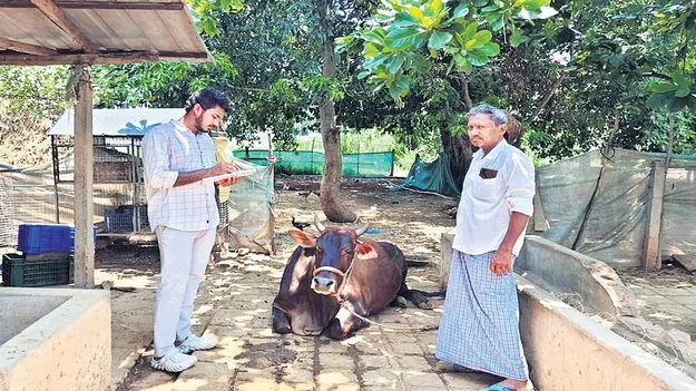 పశు సంపద వృద్ధిపై ప్రత్యేక దృష్టి