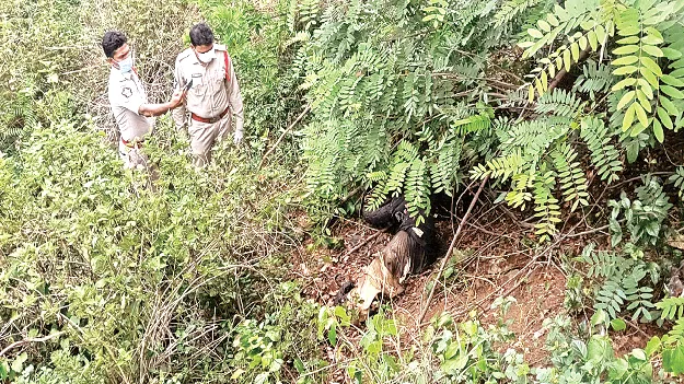  ప్రాణం తీసిన అతివేగం
