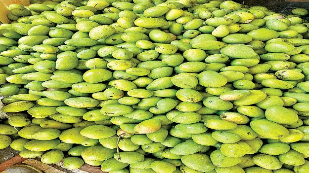 అకాల వర్షం.. అపార నష్టం 