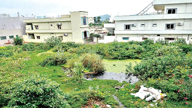 ఫాగింగ్‌ చేయట్లే!