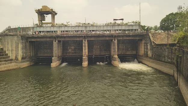 డెల్టా కాల్వలకు జల కళ