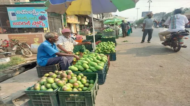 మళ్లీ కొండెక్కిన కోడి!