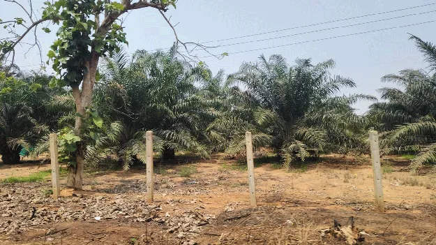 రవాణాకు ఊతం !