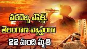 వడదెబ్బ ఎఫెక్ట్.. తెలంగాణ వ్యాప్తంగా 22 మంది మృతి