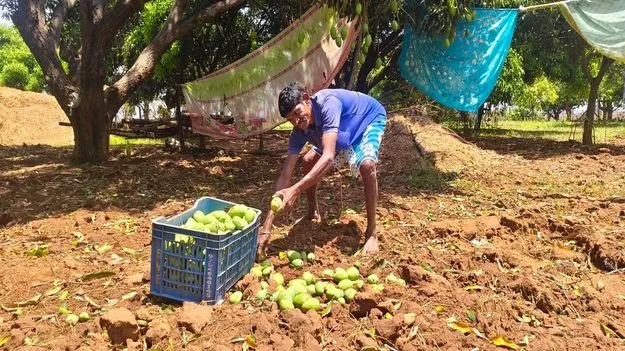 అకాల వర్షంతో అతలాకుతలం