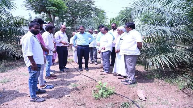 Peddapalli: జిల్లాలో ఆయిల్‌పామ్‌ సాగు విస్తరణకు చర్యలు