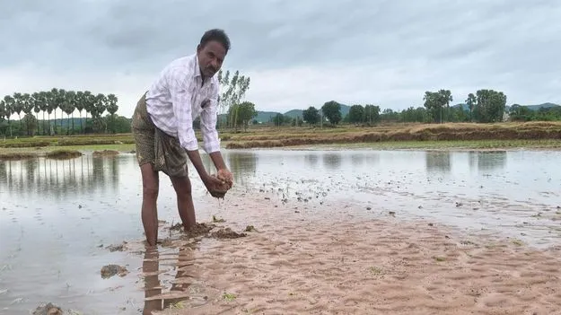 Mancherial:  ఉప్పొంగిన ప్రాణహిత.. నీట మునిగిన పంటలు