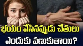 భయం వేసినప్పుడు చేతులు, కాళ్లు ఎందుకు వణుకుతాయో తెలుసా?