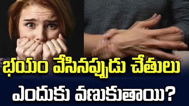 భయం వేసినప్పుడు చేతులు, కాళ్లు ఎందుకు వణుకుతాయో తెలుసా?