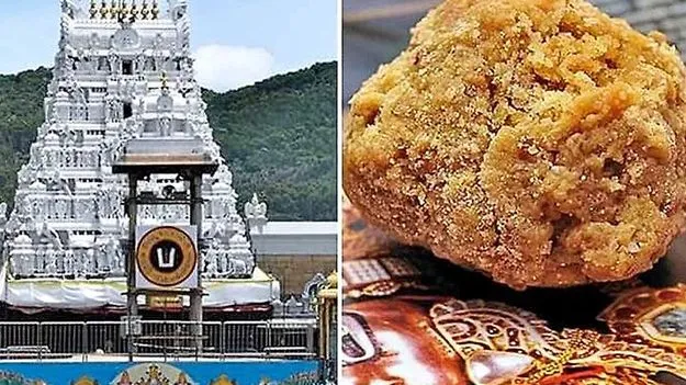 భారీగా పెరిగిన తిరుమల లడ్డూల విక్రయాలు