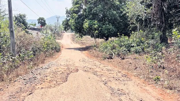 అధ్వానంగా తుమ్మనవలస-గుమ్మకోట రోడ్డు