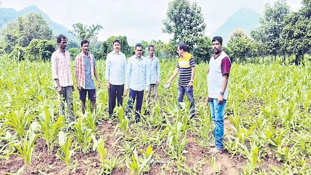 ఎల్‌నినో ప్రభావంపై అధ్యయనం