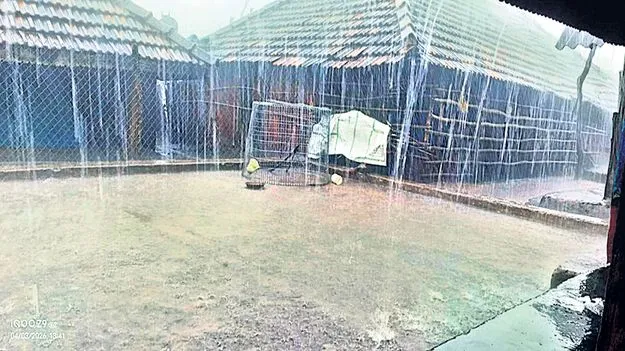 మన్యంలో కుండపోత