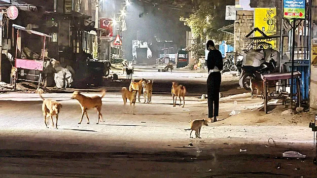 కోసిగిలో కుక్కల బెడద