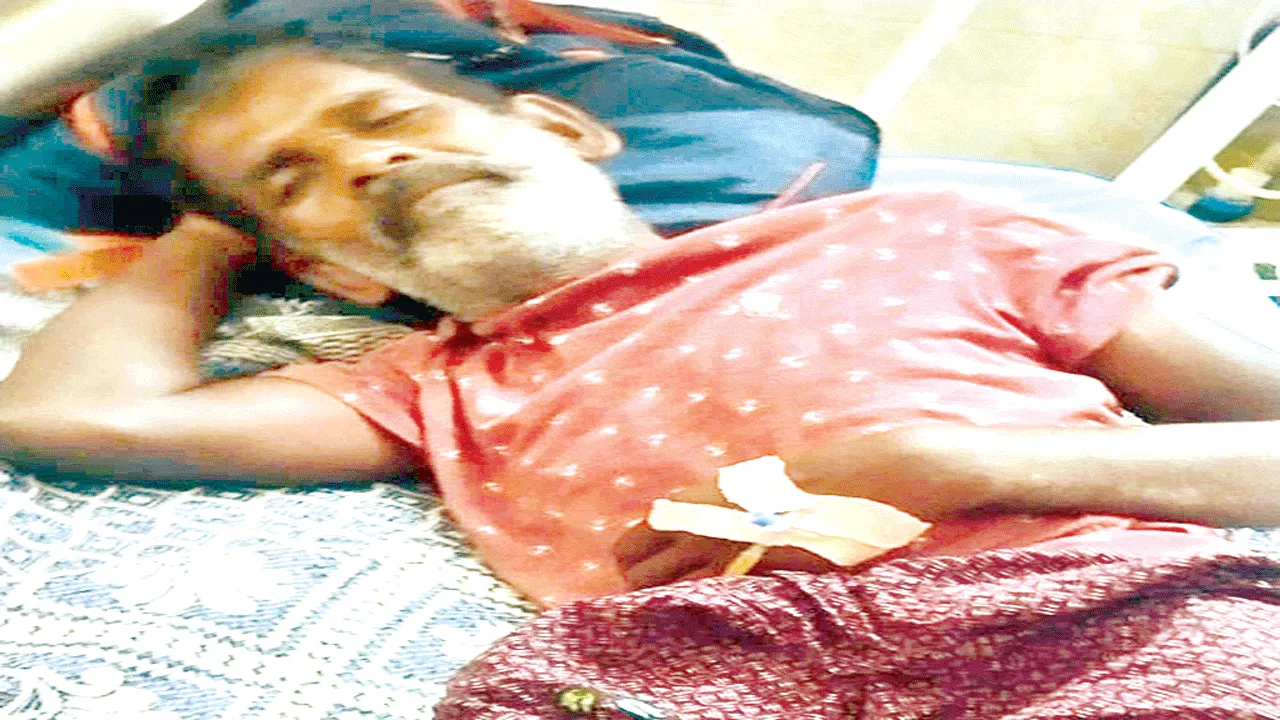 తేనెటీగల దాడిలో వ్యక్తికి గాయాలు