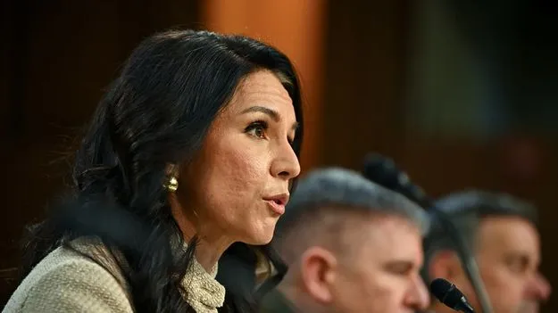 ఇరాన్‌ తిరిగి అణుశుద్ధి చేపట్టలేదు: గబ్బార్డ్‌