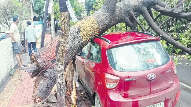 ఈదురుగాలుల బీభత్సం
