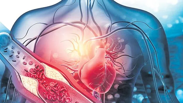 ప్రాక్టికల్‌ లెర్నింగ్‌కు ప్రాముఖ్యం