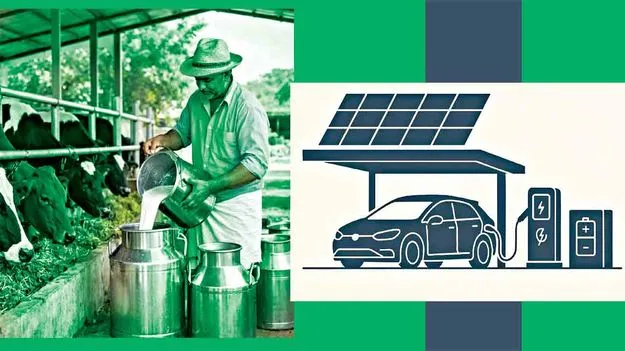 పాడి పరిశ్రమలో ఇంధన పొదుపు ఇలా..