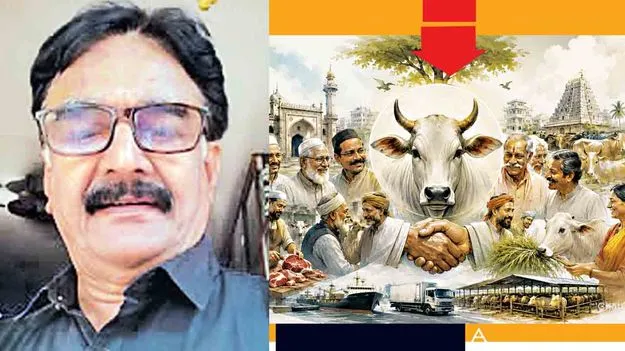 గోవధ... అనుకోని మలుపు!