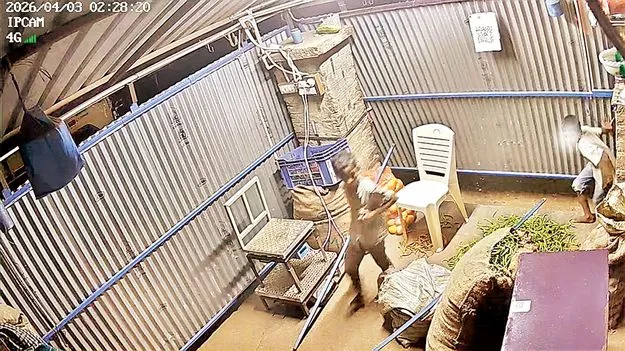    గాడి తప్పుతున్న బాల్యం 