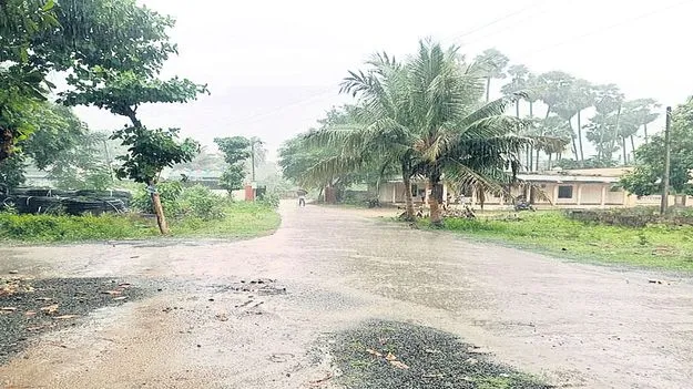 ముసురు..