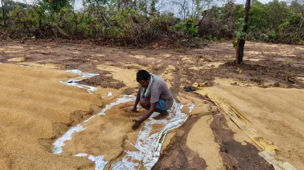 అకాల వర్షం.. అన్నదాత కష్టం