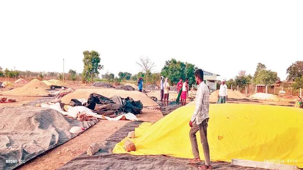  వరి రైతు వ్యథ