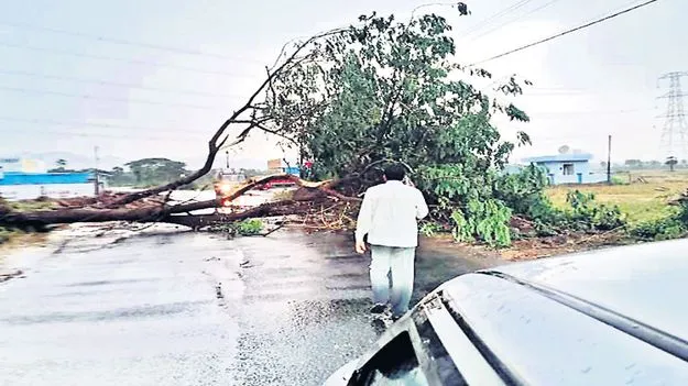 ఈదురుగాలుల బీభత్సం
