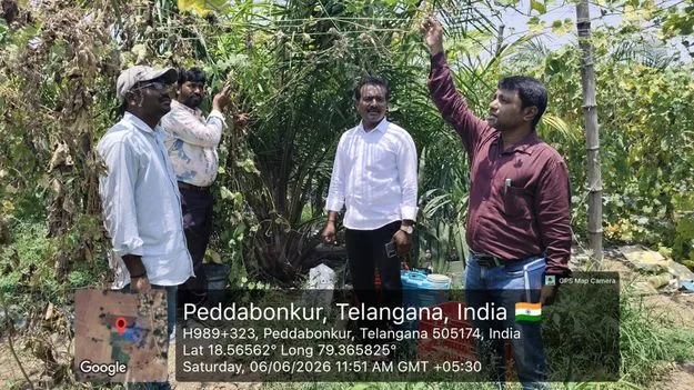 పంట మార్పిడితో అధిక లాభాలు 