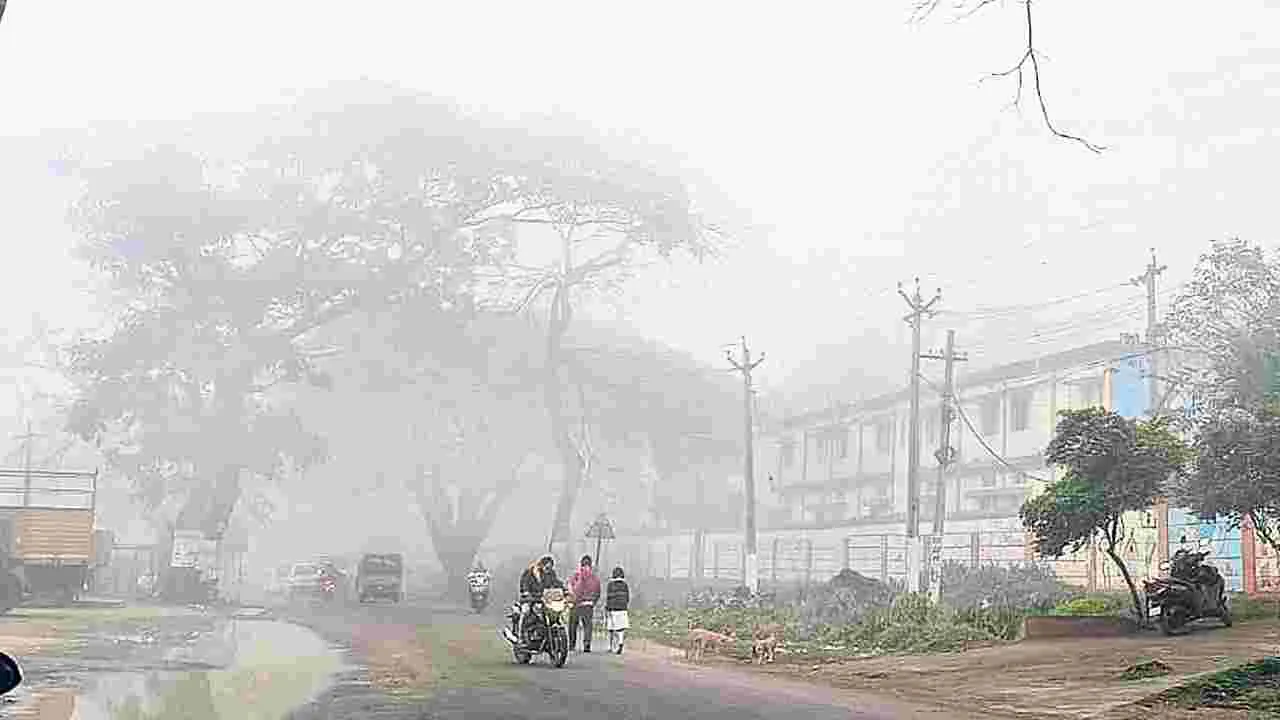 మన్యంలో తగ్గని పొగమంచు 