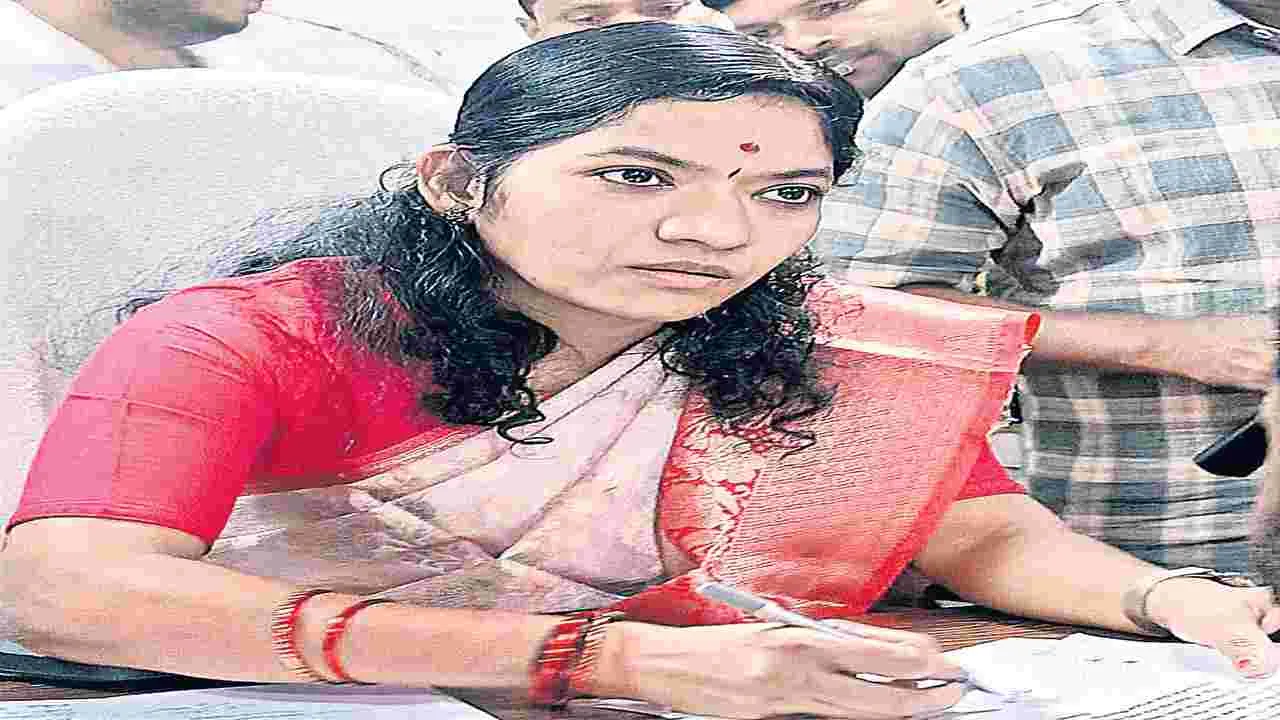 బీఎల్‌వోలకు ఇతర బాధ్యతలు అప్పగించొద్దు