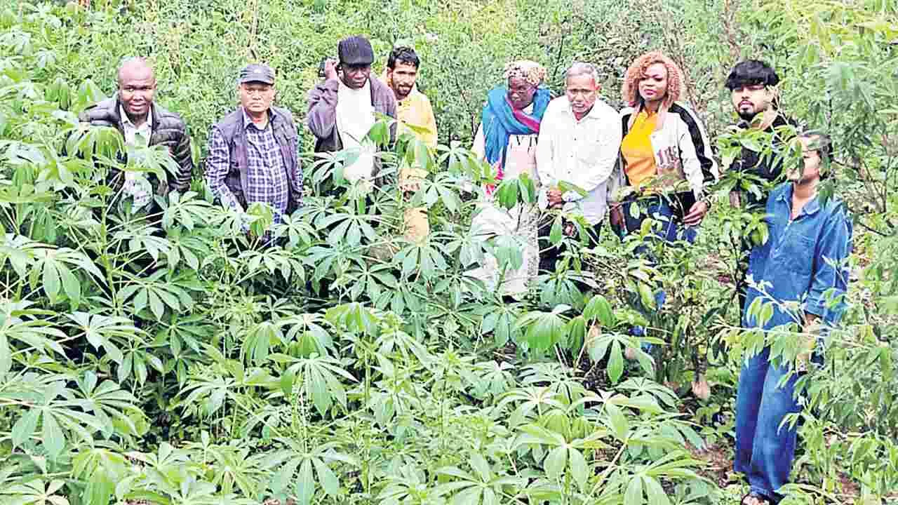 మన్యంలో కెన్యా బృందం పర్యటన