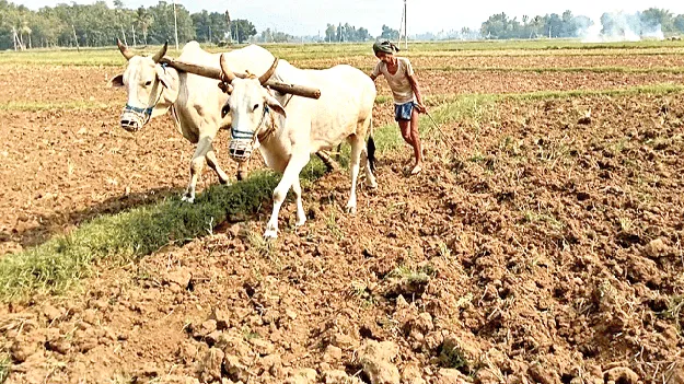 సాంకేతికత.. పారదర్శకత