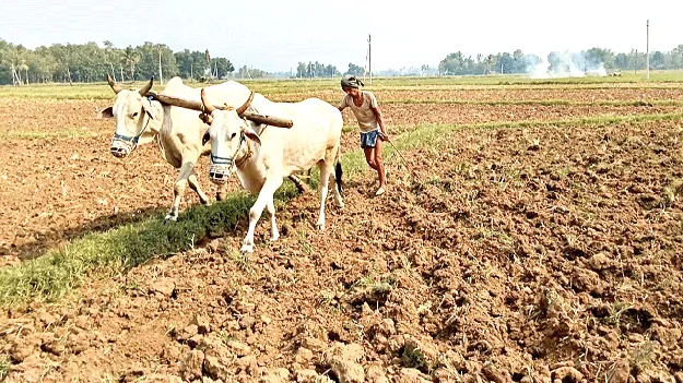 ప్రత్యామ్నాయమే మేలు